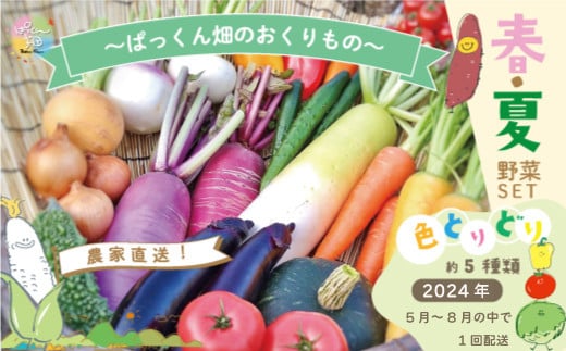 R5-800．【早期受付】とれたて新鮮！ぱっくん畑のおくりもの～農家直送！春・夏野菜セット（約5種類）～【2024年5月～8月の間に1回配送】 868675 - 高知県四万十市