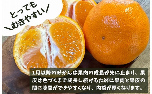 和歌山県有田川町のふるさと納税 熟成 みかん とにかく 大玉 箱込10kg ( 内容量 9.2kg )2Lサイズ以上 秀品 優品 混合 有田みかん 和歌山産 産地直送 家庭用【みかんの会】