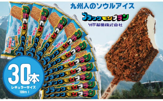 ブラックモンブラン30本セット 竹下製菓  アイス クリーム スィーツ 1140611 - 佐賀県小城市
