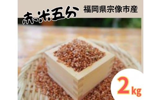循環型有機肥料で育った赤米五分（もち米）2kg【アグリCATS】_HA1442