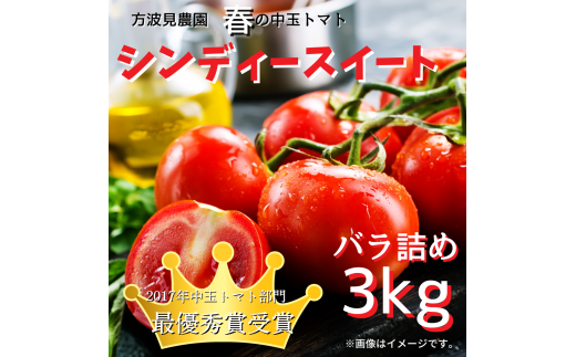 春の中玉トマト「シンディースイート」バラ詰め／3kg 351978 - 茨城県鉾田市