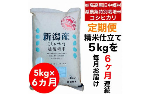 【6か月定期便】新潟県旧中郷村減農薬特別栽培米コシヒカリ 5kg（5kg×1袋） 1140137 - 新潟県新潟県庁