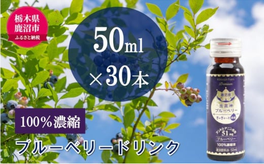 無添加 砂糖不使用 のぎゅぎゅっと 100％ 濃縮 ブルーベリードリンク 6箱 （50ml×30本） 果汁飲料 野菜飲料 ブルーベリージュース[№5840-2389] 1497743 - 栃木県鹿沼市