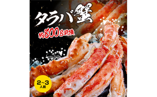 カジマ×ますよね！ 特大 ボイル 本たらばがに 4L （800g/解凍後600g前後） タラバガニ タラバ蟹 たらば かに かに肩 蟹肩 肩 かに鍋  蟹鍋 かにしゃぶ 蟹しゃぶ