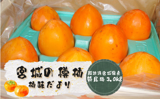 宮城の樽柿(脱渋済宮城県産蜂屋柿3.0kg)柿味だより