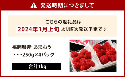 福岡県産 あまおう 計1kg (250g×4パック)