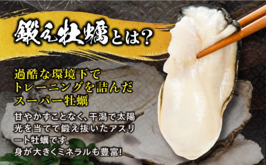 広島県江田島市のふるさと納税 他の牡蠣とは味がちがう！広島産 大粒 鍛え牡蠣 むき身 2Lサイズ（冷凍）計2kg 牡蠣 広島 かき むき身 料理 簡単 江田島市/有限会社寺本水産 [XAE028]