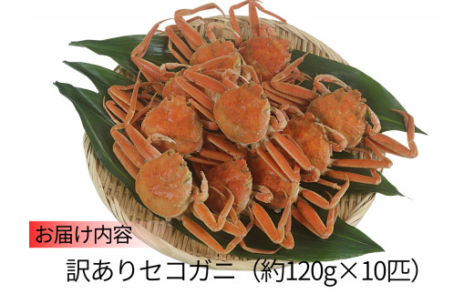 セコガニ 訳あり（欠足 キズ 汚れなど）約120g×10匹 冷凍】12/20までに