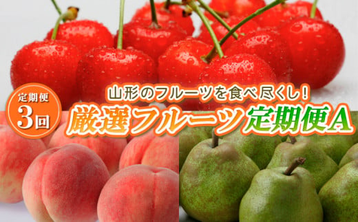 【定期便3回】山形のフルーツを食べ尽くし！厳選フルーツ定期便A 【令和6年産先行予約】FS23-857 くだもの 果物 さくらんぼ 佐藤錦 もも 桃 白桃 なし 梨 洋梨 洋なし ラ・フランス ラフランス 山形 山形県 山形市 2024年産