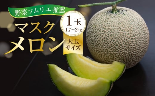 先行予約 数量限定 野菜ソムリエ推薦渥美半島伊良湖潮風育ちマスクメロン3玉大玉サイズ(5.5～6キロ)カラーギフト箱入り 田原市 伊良湖産 ギフト  プレゼント お取り寄せ 渥美半島 農家直送 送料無料 25,000円 - 愛知県田原市｜ふるさとチョイス - ふるさと納税サイト