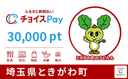 埼玉県ときがわ町チョイスPay 30,000pt（1pt＝1円）