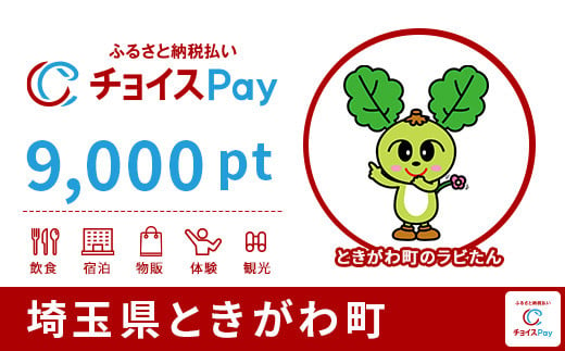 埼玉県ときがわ町チョイスPay 9,000pt（1pt＝1円）