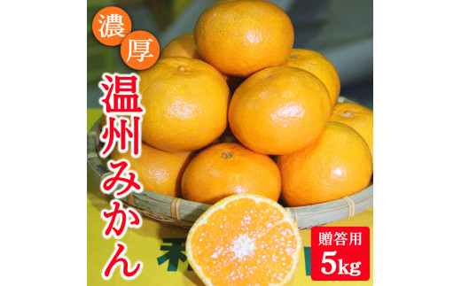 濃厚温州みかん贈答用5kg(和歌山天田みかん)◆ みかんの産地和歌山 北村農園直送 ※2025年12月上旬頃より順次発送予定