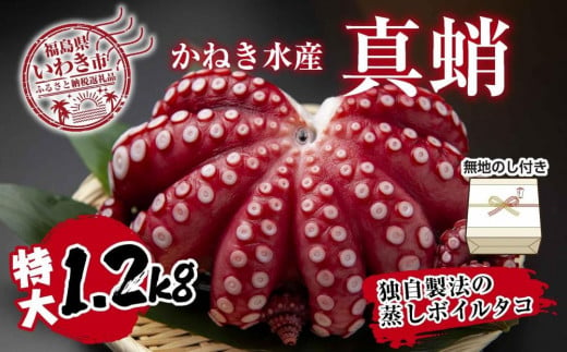 【無地熨斗付き】真蛸(蒸しボイルたこ)大1.2kg！　調理簡単で便利！おかずの一品やお酒のお供に！ 1142566 - 福島県いわき市