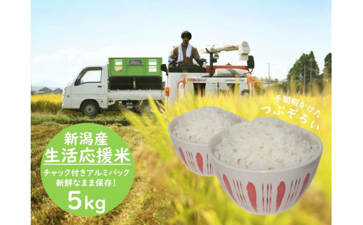 生活応援米 つぶぞろい 5kg 3D01007 1147260 - 新潟県阿賀野市