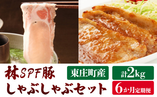 【6ヶ月定期便】東庄町産SPF豚肉 焼肉＆しゃぶしゃぶセット 計2kg×6回 902330 - 千葉県東庄町