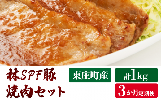 【3ヶ月定期便】林SPF豚　焼き肉セット（シート巻き）計1kg×3回 902323 - 千葉県東庄町