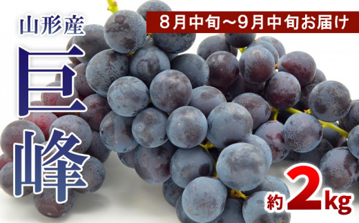 巨峰のふるさと納税 カテゴリ・ランキング・一覧【ふるさとチョイス