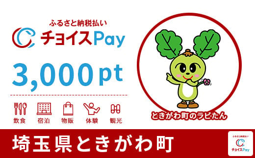 埼玉県ときがわ町チョイスPay 3,000pt(1pt=1円)
