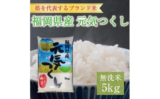 福岡県産 元気つくし 無洗米 5kg(5kg×1) [a9196] 株式会社 藤食糧 【返礼品】添田町 ふるさと納税 990494 - 福岡県添田町