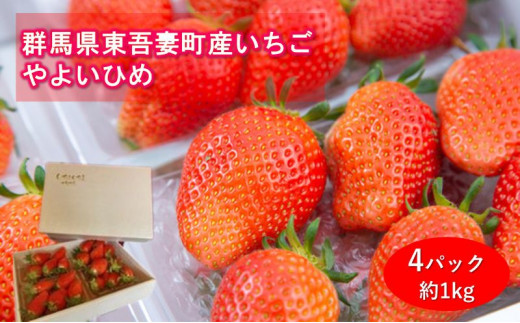 群馬県 東吾妻町産 イチゴ やよいひめ 4パック 約1.0kg いちご 果物 フルーツ 甘い イチゴ ジューシー お取り寄せ グルメ