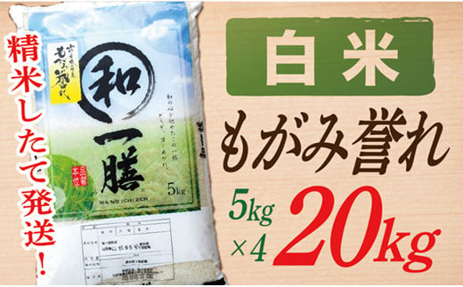 【令和6年産】【白米】山形県産もがみ誉れ20kg 896819 - 山形県最上町