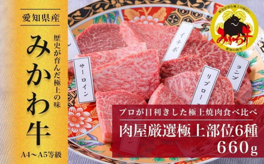 【みかわ牛】肉屋厳選極上部位6種　660ｇ 1142572 - 愛知県豊田市