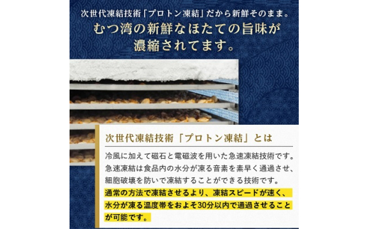 青森県青森市のふるさと納税 むつ湾産冷凍ほたて貝柱1kg_A2-178【1142435】