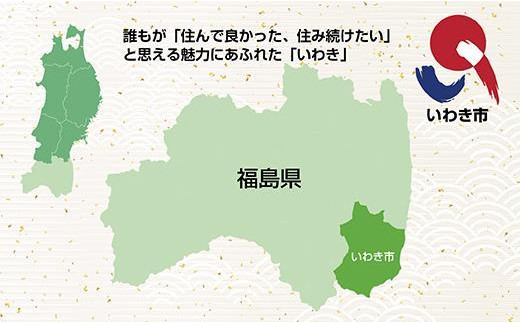 真蛸（蒸しボイルたこ）1kg×1杯　　調理簡単で便利！おかずの一品やお酒のお供に！水産加工会社直送！