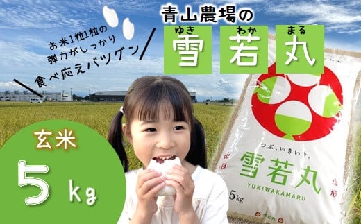 【令和5年産・玄米】青山農場の特別栽培米雪若丸5kg