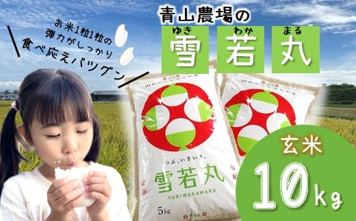 【令和5年産・玄米】青山農場の特別栽培米雪若丸10kg（5kg×2袋）