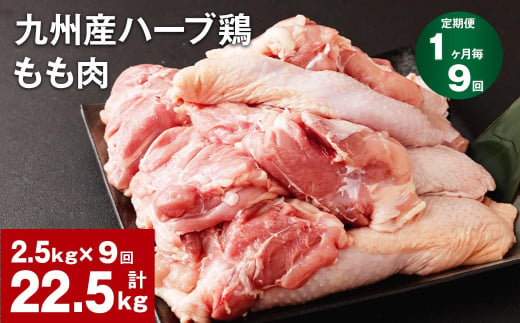 【1ヶ月毎9回定期便】九州産ハーブ鶏 もも肉 1144663 - 熊本県菊池市