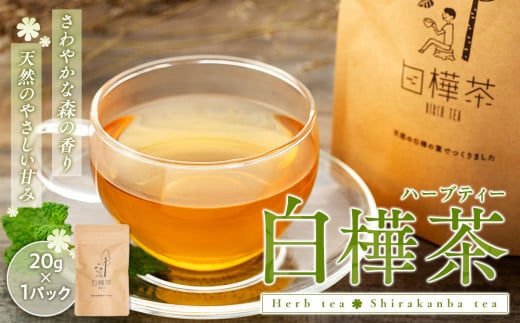 白樺茶　2パック 818476 - 長野県立科町