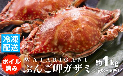 サンプル写真