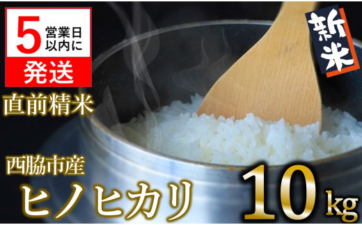 令和５年産 ヒノヒカリ】白米10kg（10kg×1袋）新米 2023年産【５営業日