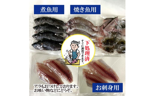 嶋矢水産】 瀬戸内の鮮魚 直送便 下処理済み 産地直送 20000円 台 四