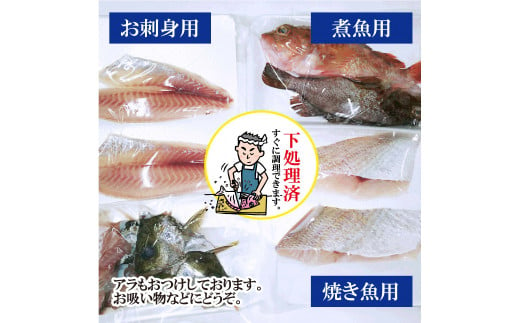 嶋矢水産】 瀬戸内の鮮魚 直送便 下処理済み 産地直送 10000円 台 二人前 刺身 煮魚 焼き魚 瀬戸内海 愛媛 松山 老舗 魚 人気 イサキ  タイ 鯛 ワカナ サワラ 鰆 炙り メバル オコゼ イサキ チダイ タチウオ - 愛媛県松山市｜ふるさとチョイス -