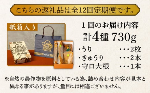 全12回定期便】【明治神宮ご奉献品】奈良漬 「琥珀漬」730g 紙箱入り