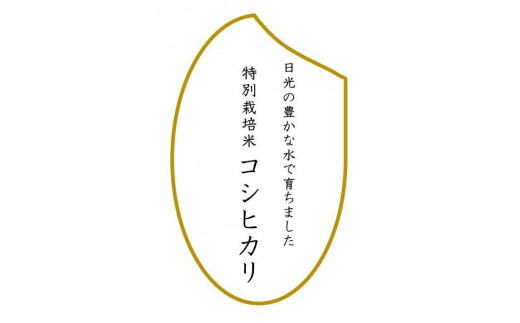 令和5年産　特別栽培米コシヒカリ　玄米10kg（5kg×2袋） 1147368 - 栃木県日光市