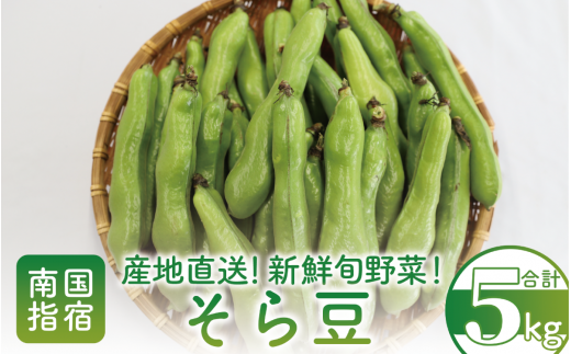 2025年3月上旬頃～発送【産地直送！新鮮旬野菜！】ご家庭用そら豆約5kg(指宿促成青果/A-414) 鹿児島 そら豆 ソラマメ さや付き 野菜 豆 ご家庭用 指宿市 292413 - 鹿児島県指宿市