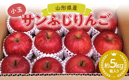 【2024年12月発送開始】小玉ふじりんご 山形県産 小玉りんご（サンふじりんご）約5kg 箱入り FSY-0880 1166251 - 山形県山形県庁