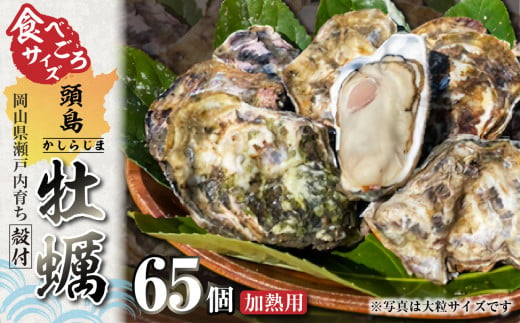 日生頭島殻付牡蠣「海の恵」食べごろサイズ65個 - 岡山県備前市