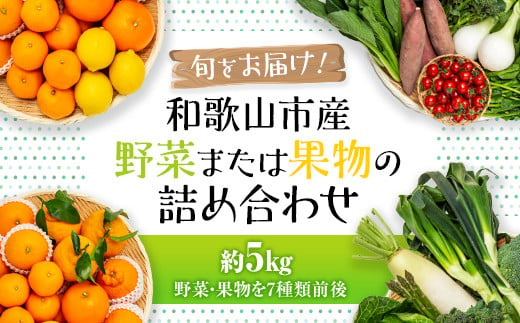 旬をお届け！和歌山市産・野菜または果物の詰め合わせ 761736 - 和歌山県和歌山市