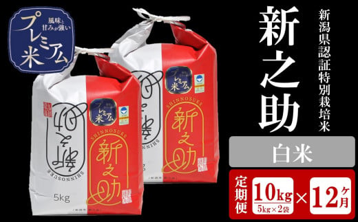 令和5年産米【定期便】甘味の強いプレミアム米 新潟県認証特別栽培米 新之助 白米 10kg（5kg×2袋）×12回（計 120kg）[ZU063]