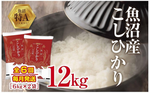 定期便 全6回】魚沼産 こしひかり 6kg ×2袋 計12kg 米 コシヒカリ お米