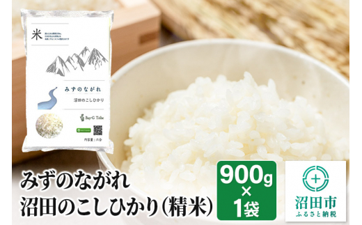 令和5年産 沼田のこしひかり「みずのながれ」お試し六合 900g 精米