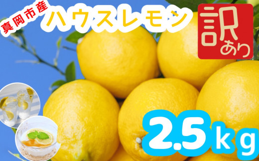 真岡市産 訳あり品 ハウス レモン 2.5kg 真岡市 栃木県 送料無料｜ふるラボ