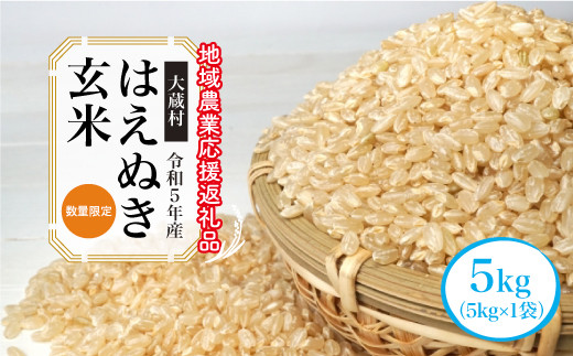 令和5年産 はえぬき【玄米】20kg（10kg×2袋）～地域農業応援返礼品