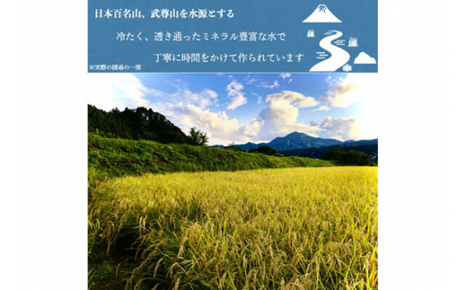 令和5年産 沼田のこしひかり「みずのながれ」お試し六合 900g 精米