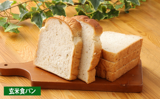 【1ヶ月毎9回定期便】豆乳食パン、玄米食パン、ブリオッシュ、チョコマーブルの4点セット